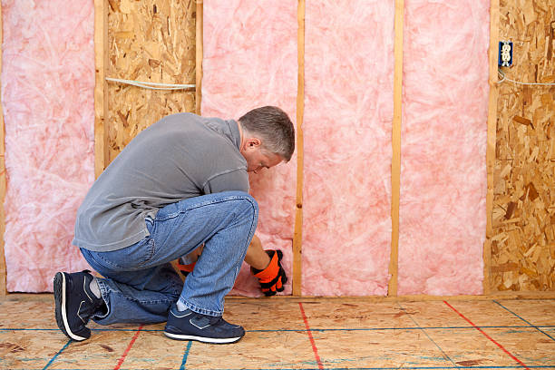 Best Types of Insulation in Mount Vernon, MD