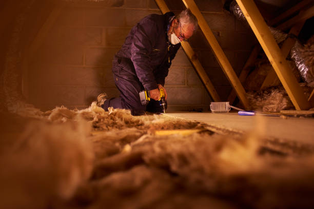 Best Insulation Maintenance and Repair in Mount Vernon, MD
